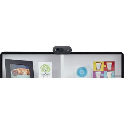 Веб-камера Logitech C505e