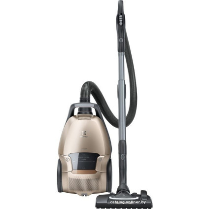 Пылесос Electrolux PD91-8SSM