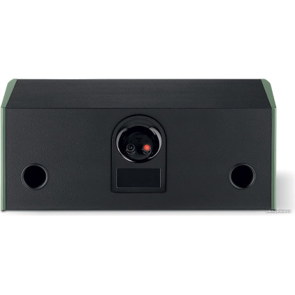 Полочная акустика Focal Aria Evo X Center (черный/зеленый)