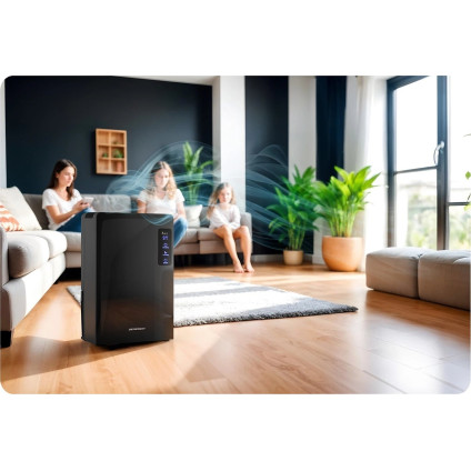 Осушитель воздуха Berdsen BR-22A (чёрный)