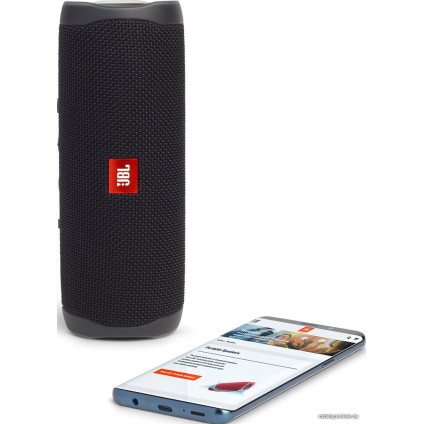 Беспроводная колонка JBL Flip 5 (черный)