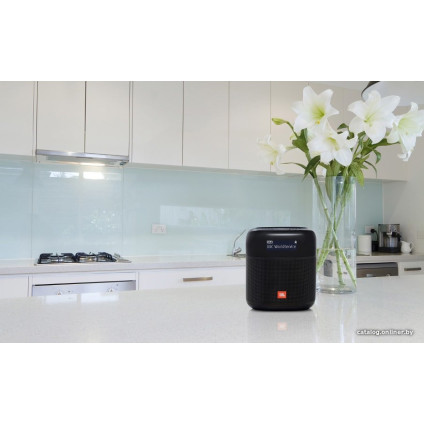 Радиоприемник JBL Tuner XL