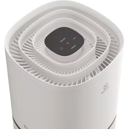 Очиститель воздуха Electrolux EPO50571SW