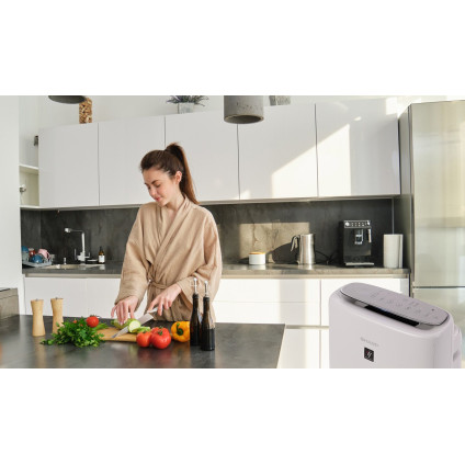 Климатический комплекс Sharp KI-N52EU-L