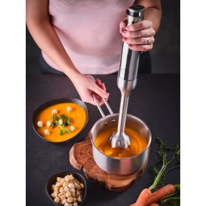 Погружной блендер ETA Spesso II 3215 90000