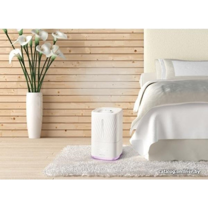 Увлажнитель воздуха Concept ZV2010