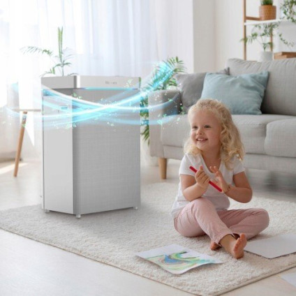 Климатический комплекс Webber AP9750