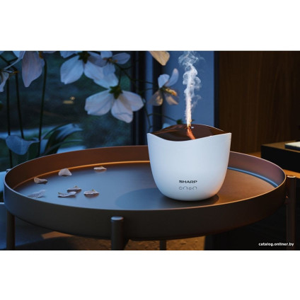 Увлажнитель воздуха Sharp DF-A1E-W