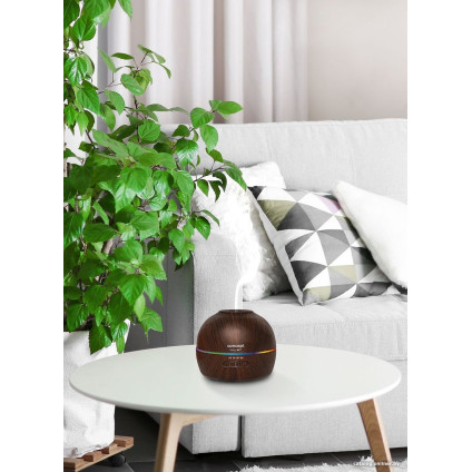 Увлажнитель воздуха Concept ZV1006