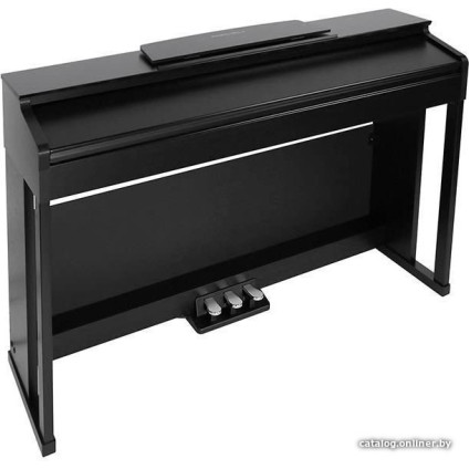 Цифровое пианино Medeli DP280K (черный)