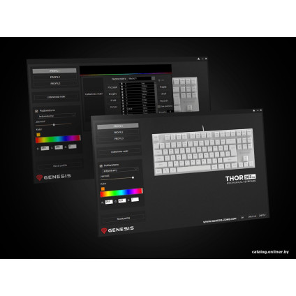 Клавиатура Genesis Thor 303 TKL RGB (белый, нет кириллицы)