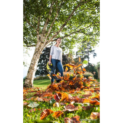 Ручная воздуходувка Ryobi OBL18JB (без АКБ)