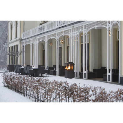 Биокамин Faber theBUZZ