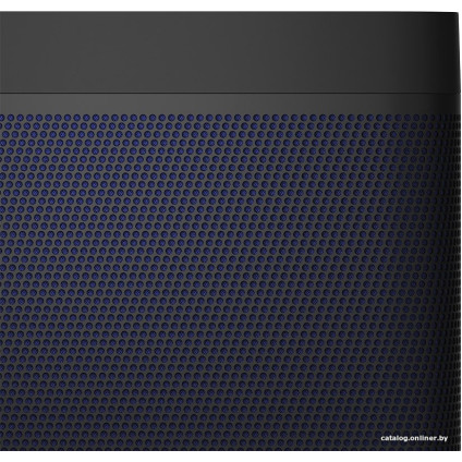 Беспроводная колонка Bang & Olufsen Beolit 20 (черный)