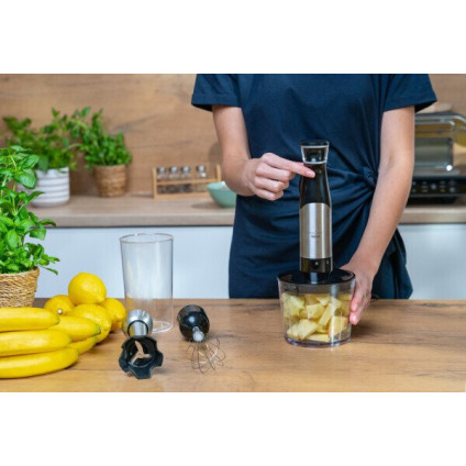 Погружной блендер Goetze & Jensen HB902X