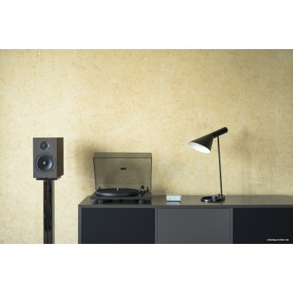 Виниловый проигрыватель Pro-Ject Primary E (черный)