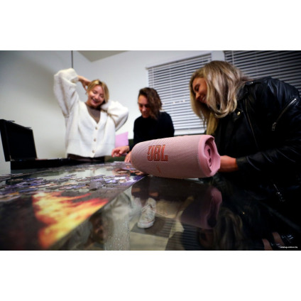 Беспроводная колонка JBL Charge 5 (белый)