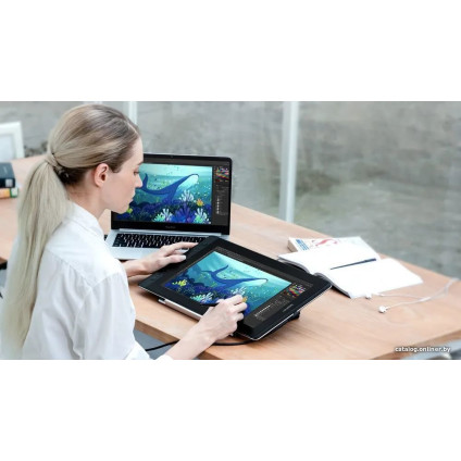 Графический монитор Huion Kamvas Pro 16