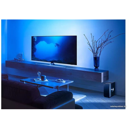 Беспроводной сабвуфер Philips Fidelio TAFW1/10