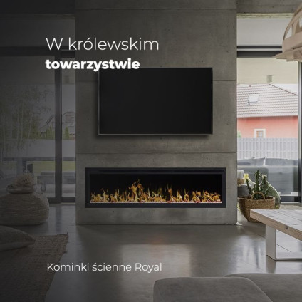 Электрокамин Aflamo Royal 100