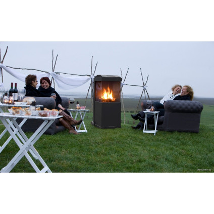 Биокамин Faber theBUZZ