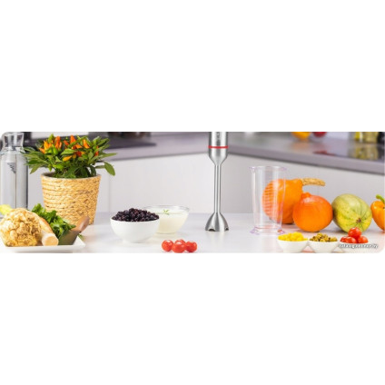 Погружной блендер Zelmer ZHB4650