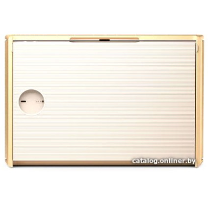 Беспроводная аудиосистема Bang & Olufsen Beosound Level (золотистый/светлый дуб)