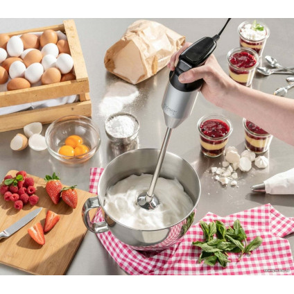 Погружной блендер CASO HB 2400 Pro XL