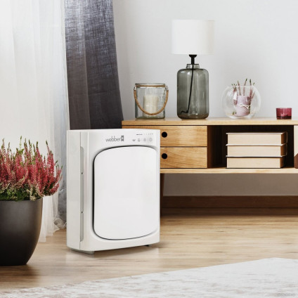 Очиститель воздуха Webber AP8410