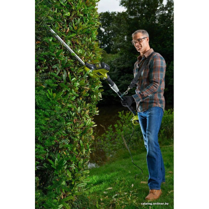 Кусторез Ryobi RPT4545E