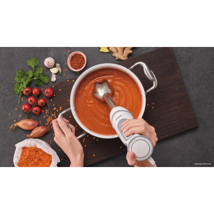 Погружной блендер Braun MultiQuick 5 Vario MQ 5220 WH