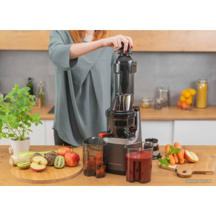 Соковыжималка Goetze & Jensen SJ701T