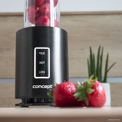 Стационарный блендер Concept SM1500