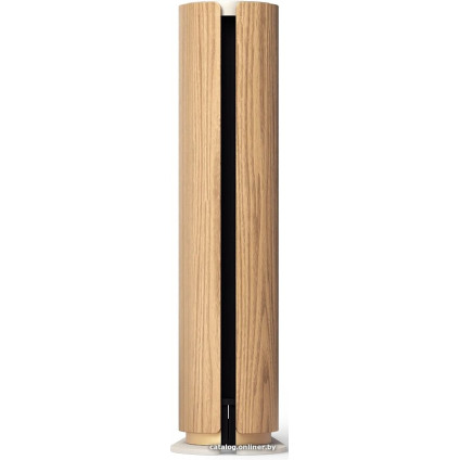 Беспроводная аудиосистема Bang & Olufsen Beosound Emerge (золотистый/светлый дуб)