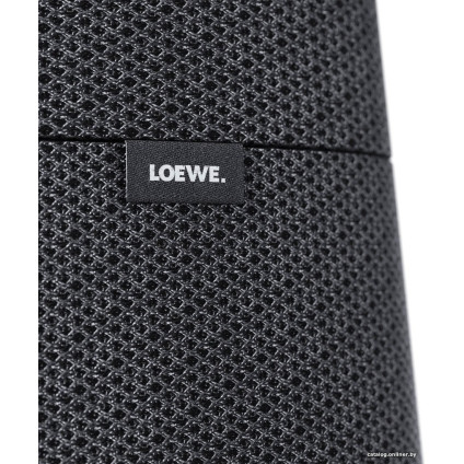 Беспроводная аудиосистема Loewe Klang MR3