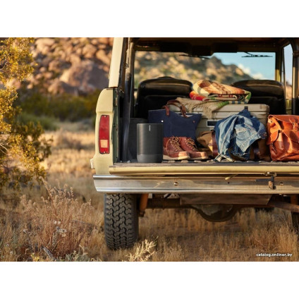 Умная колонка Sonos Move (черный)