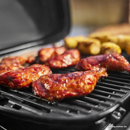 Газовый гриль для дачи Weber Traveler Compact