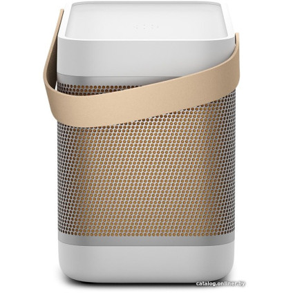 Беспроводная колонка Bang & Olufsen Beolit 20 (серый)