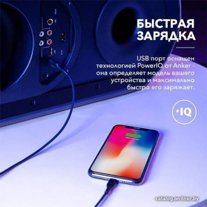 Патибокс Anker SoundCore Rave+