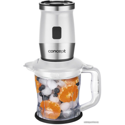 Стационарный блендер Concept SM3391
