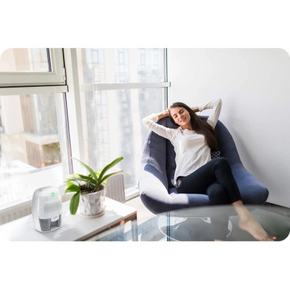 Осушитель воздуха Berdsen BR-50B (белый)