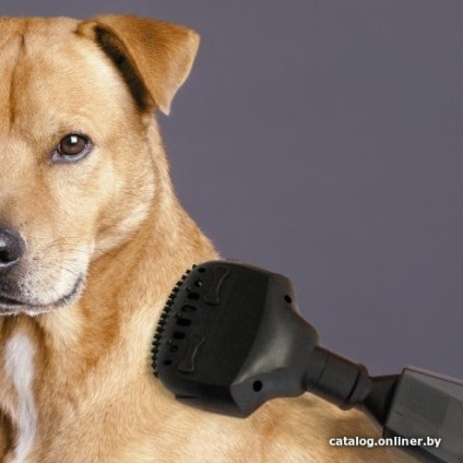 Пылесос Concept VP4351