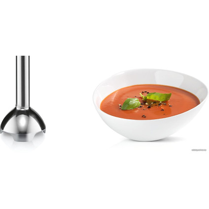 Погружной блендер Bosch MSM26500