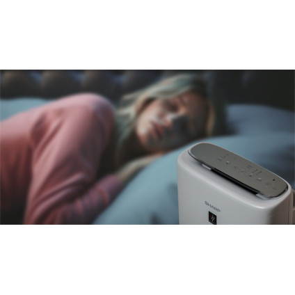 Климатический комплекс Sharp KI-N52EU-L