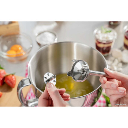 Погружной блендер CASO HB 2400 Pro XL