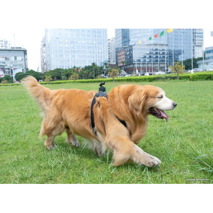 Экшен-камера FeiyuTech Pocket 3