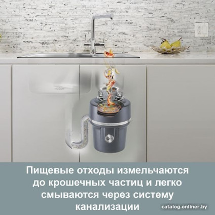 Измельчитель пищевых отходов InSinkErator Evolution 100